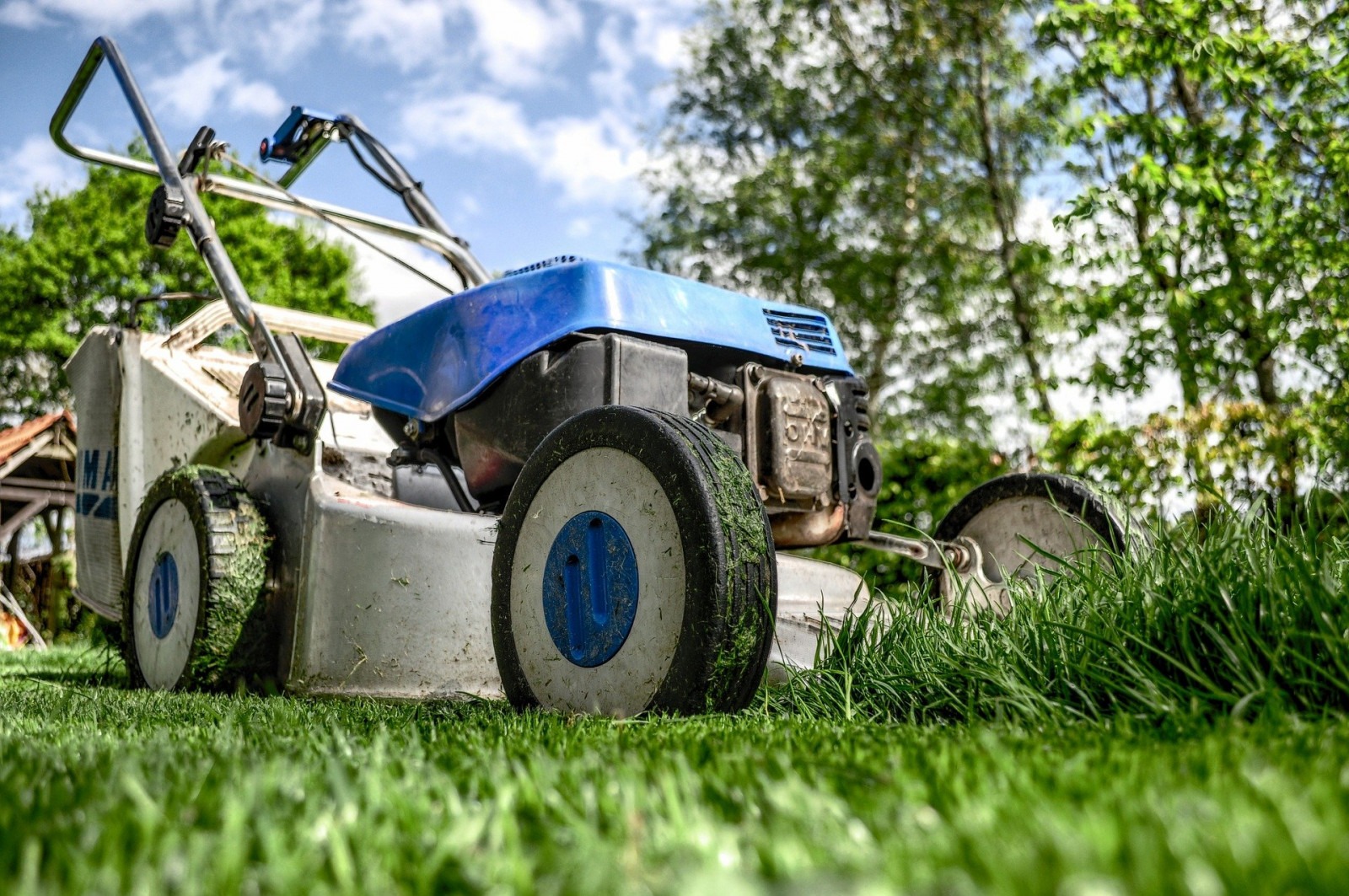 Lawn-Care Scams Sprout up in Spring